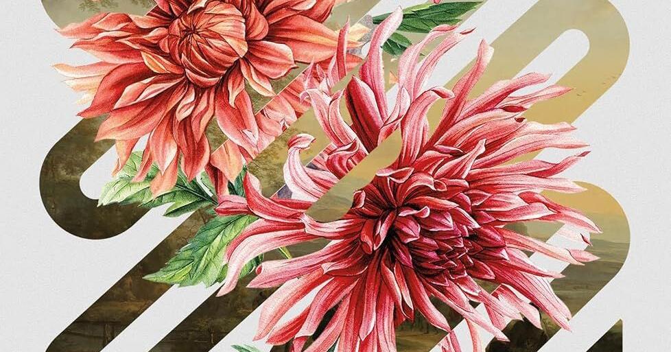 LIBRARY COLUMN | Cozy up with a cup of fantasy | Features