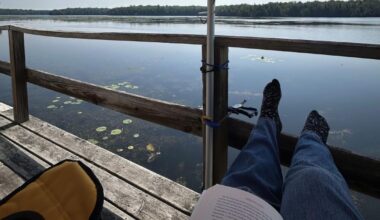 Kunesh: Books of the month | Features
