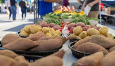 Downtown Arlington Farmers Market thrives more than 6 months in | City