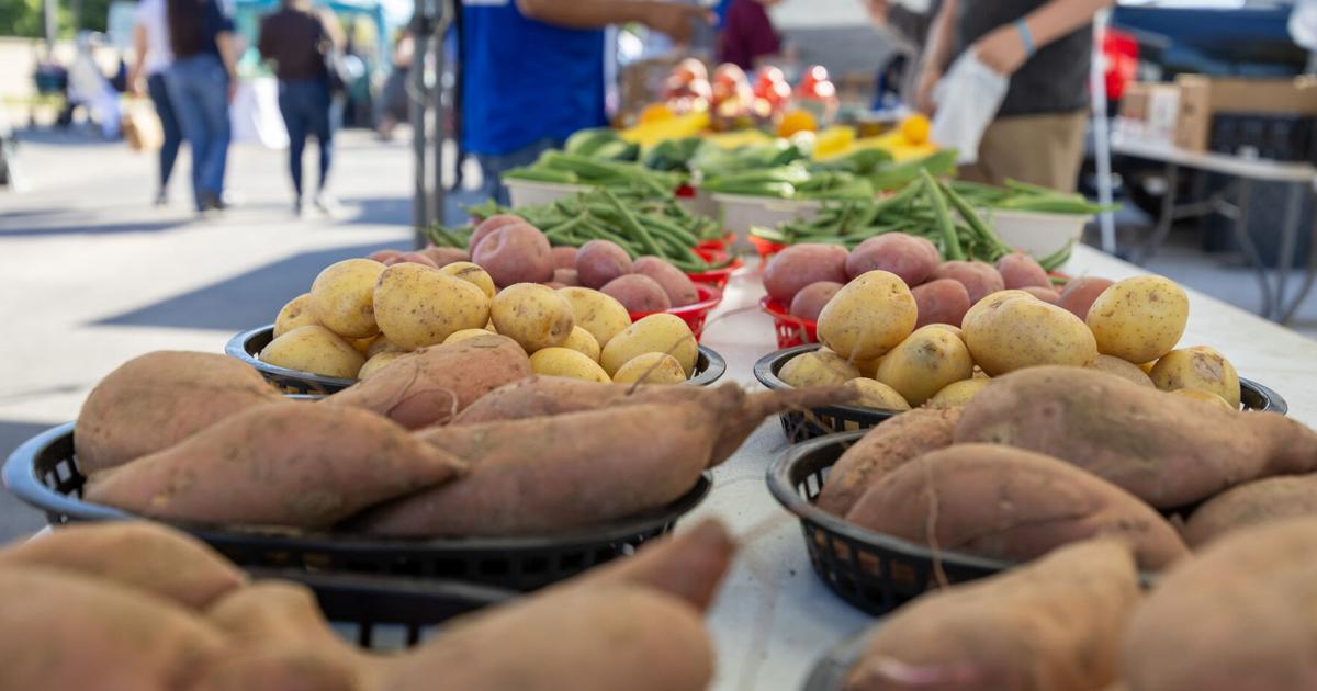 Downtown Arlington Farmers Market thrives more than 6 months in | City