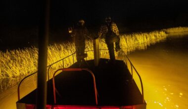 SC alligator hunters patrol waters for the elusive reptile