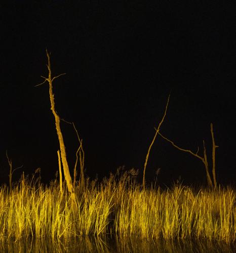 GatorHunting-22.jpg