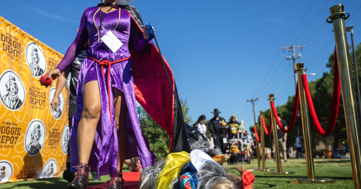 Howl-O-Ween Doggy Costume Contest brings pup getups to Downtown Arlington Doggie Depot | City