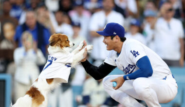 Meet An Actual Dodger Dog Ready To Be Adopted From LA Animal Services 💙 | KOST 103.5