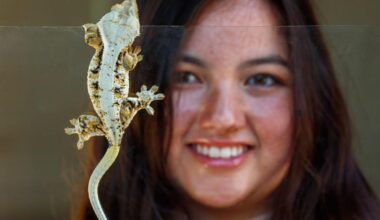 Colleges, universities investing in undergrad entrepreneurs | Innovation