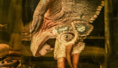 Photos: UTA Herpetology museum showcases amphibian, reptile specimens | Gallery