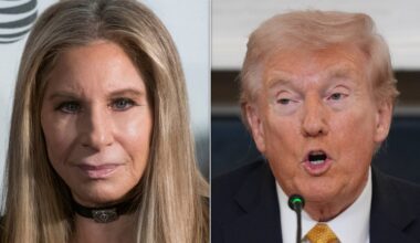 Barbra Streisand Slams 'Ridiculous' Trump Project As Metaphor For His Presidency - HuffPost