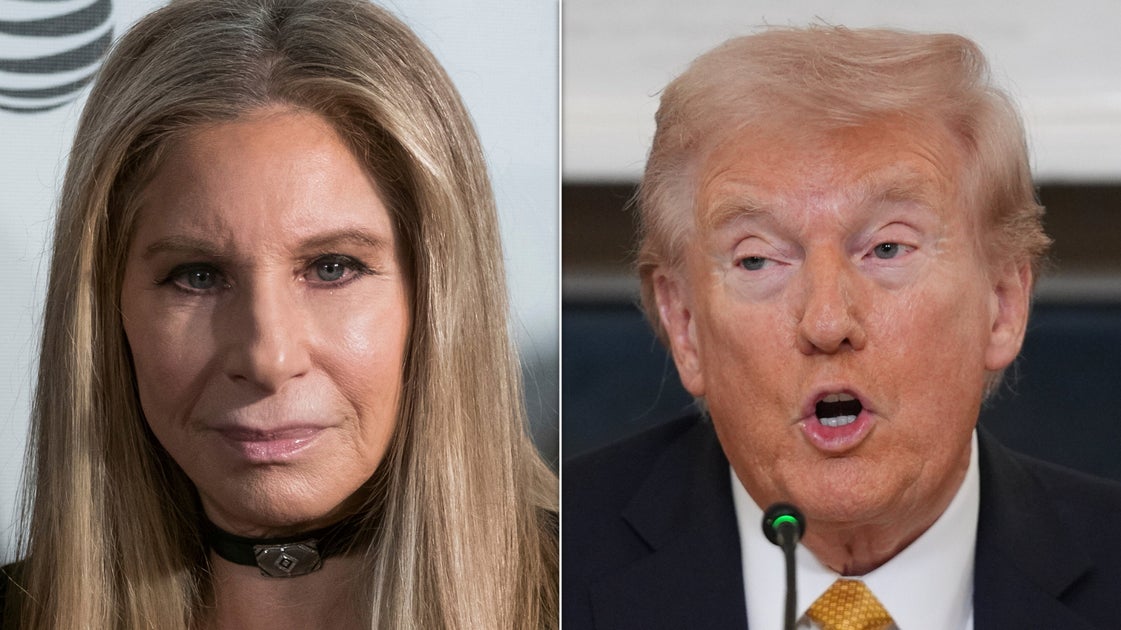 Barbra Streisand Slams 'Ridiculous' Trump Project As Metaphor For His Presidency - HuffPost