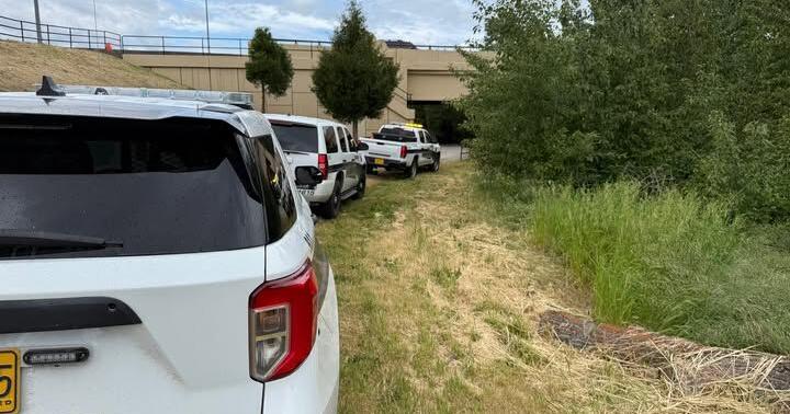 Phoenix Police Department working to keep the Bear Creek Greenway safe | Local