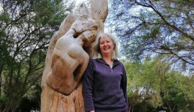 Northland artist’s award-winning Rotorua sculpture Geyser vandalised and dumped