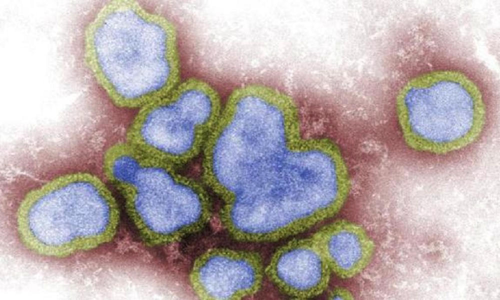 Mexico reports new human case of H5 bird flu