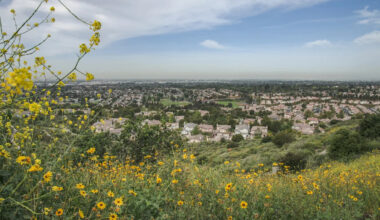 Yahoo lifestyle home