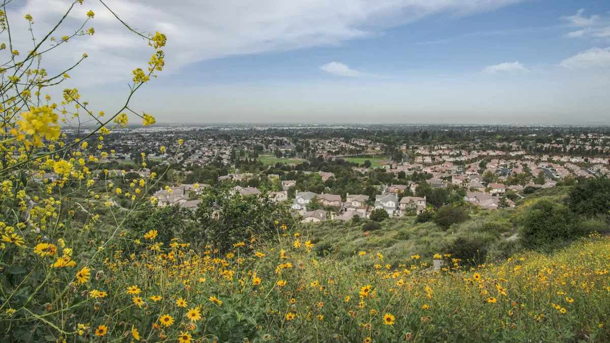 Yahoo lifestyle home