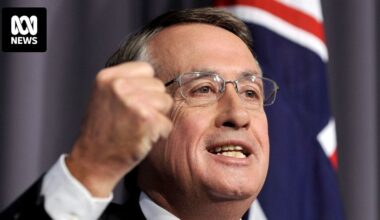 Wayne Swan steps down as Labor president urging party to focus on membership boost