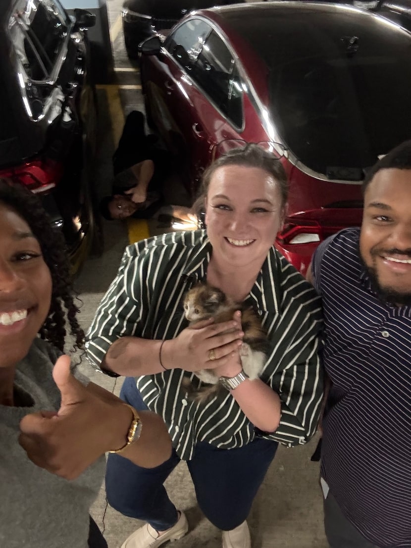 Victoria Miller, Shelby Saxon and Malik Allen pose with Carrie the kitten after rescuing her...