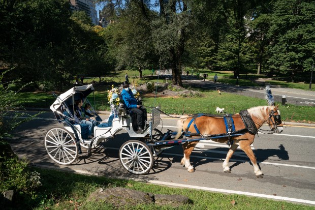 A horse drawn carriage makes it wat through Central Park in Manhattan, New York. (Barry Williams/New York Daily News)