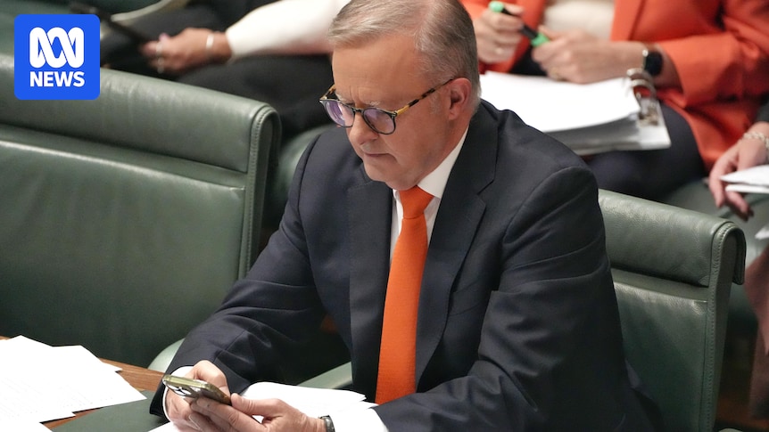 Prime Minister Anthony Albanese's mobile phone number made available online
