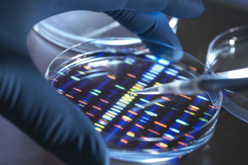 Newswise: Research Tip Sheet: Genetic Misfire in Lupus, UTI-Related Delirium