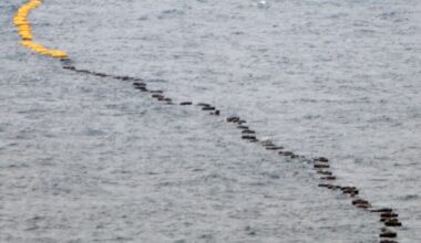 Undersea cable glitch causes minimal internet slowdown: MODA