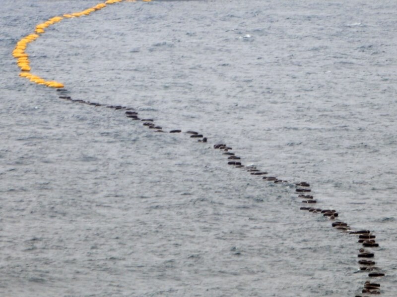 Undersea cable glitch causes minimal internet slowdown: MODA