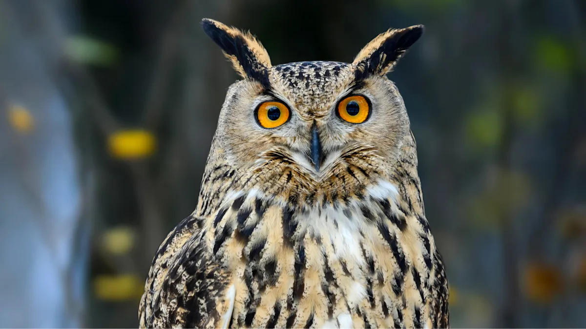 Yahoo lifestyle home