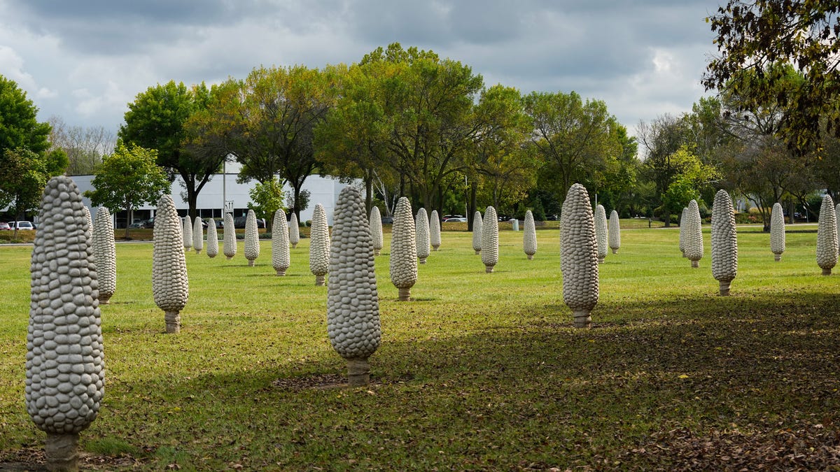 Dublin, Ohio's Field of Corn balances critique, history and community