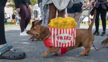 How a Cape Cod photographer saw dachshunds eye-to-eye at Doxie Days