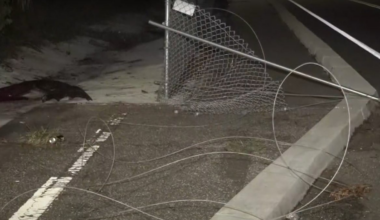 Teen girl pedestrian and man in wheelchair die in Jacksonville crashes