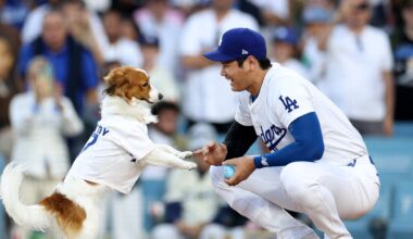 World Series Game 2 Los Angeles Dodgers at Toronto Blue Jays: Odds