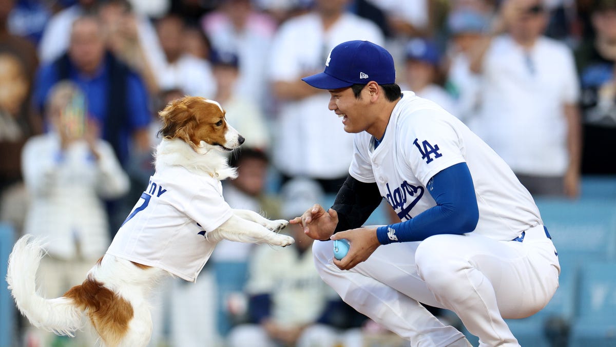World Series Game 2 Los Angeles Dodgers at Toronto Blue Jays: Odds