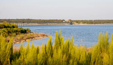 Yahoo lifestyle home