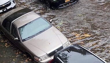 2 found dead in flooded NYC basements during heavy rainstorm: Police
