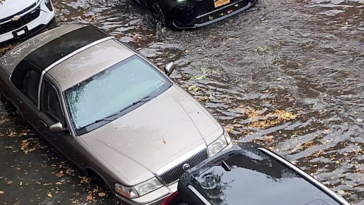2 found dead in flooded NYC basements during heavy rainstorm: Police