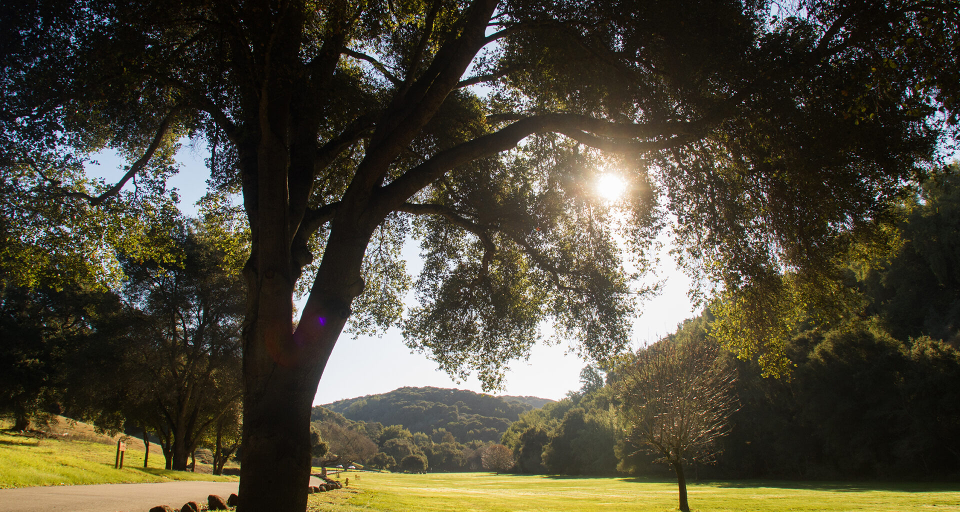 Battle for influence splinters Sierra Club chapter