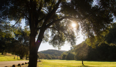 Battle for influence splinters Sierra Club chapter