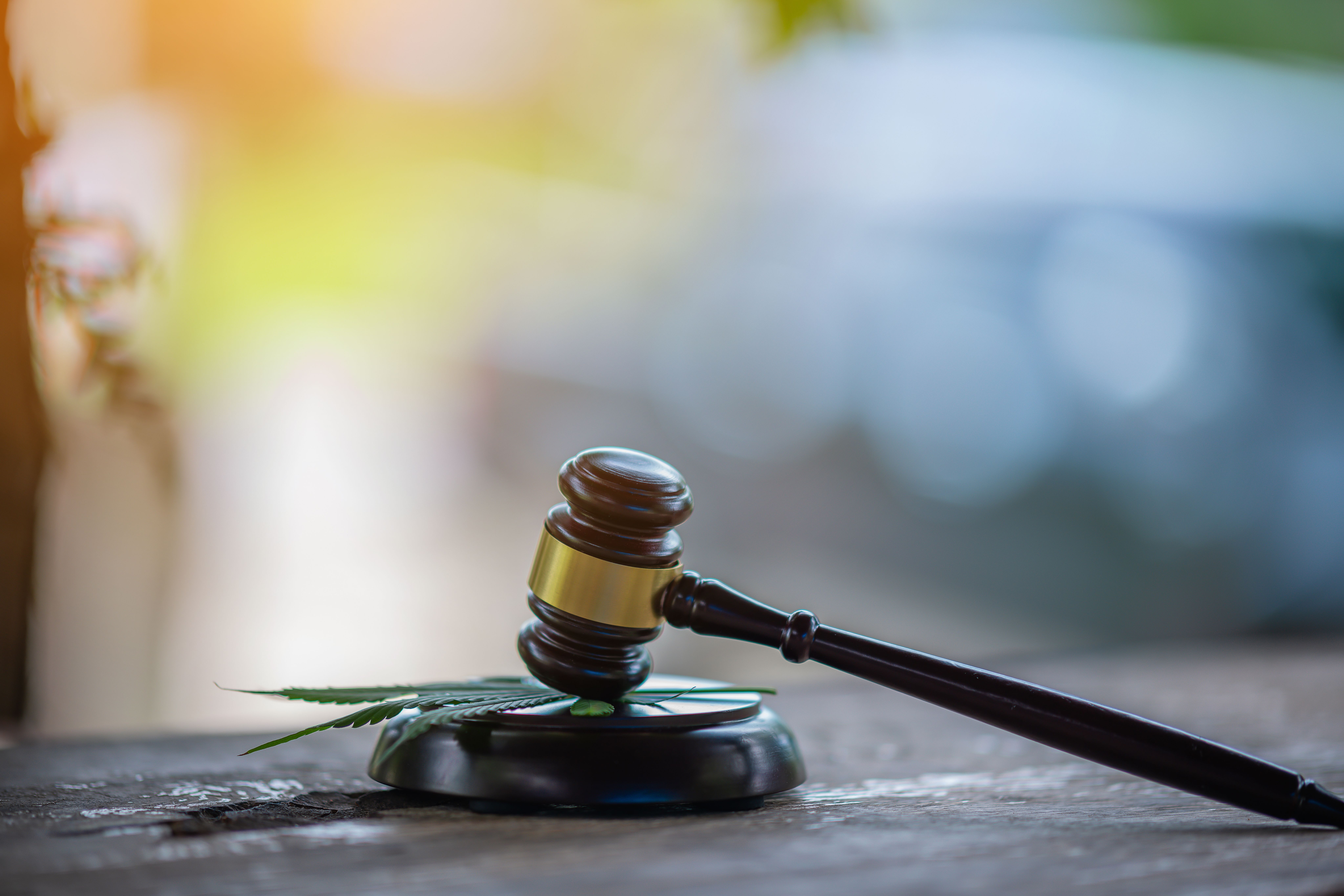 New York State October 2025 Cannabis Overview | Cannabis Science and Technology