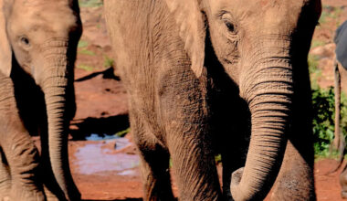 Yahoo lifestyle home