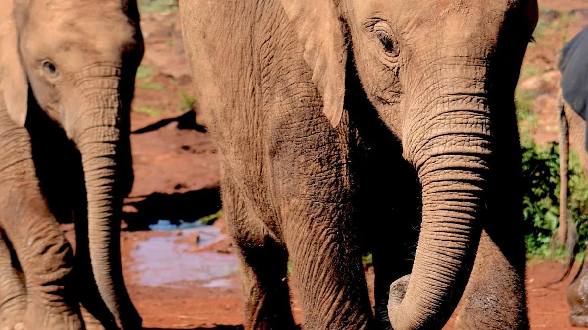 Yahoo lifestyle home