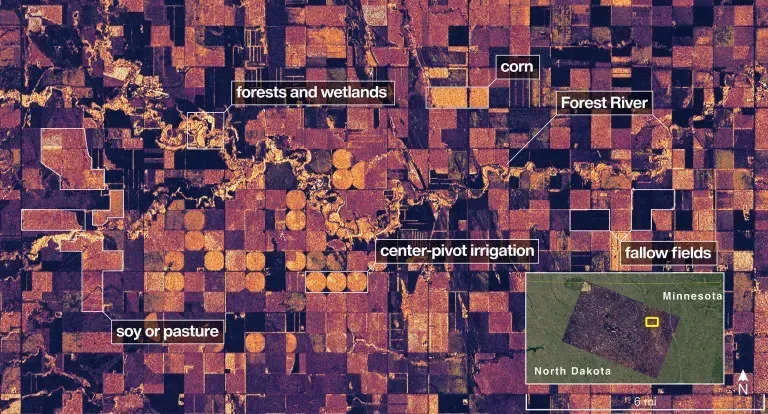 On Aug. 23, NISAR imaged land adjacent to northeastern North Dakota’s Forest River. Light-colored wetlands and forests line the river’s banks, while circular and rectangular plots throughout the image appear in shades that indicate the land may be pasture or cropland with corn or soy.