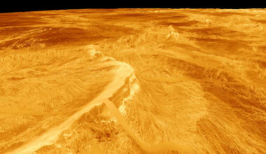 Scientists Intrigued by Weird Structures on Surface of Venus