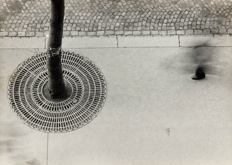 Aerial view of a street showing a tree grate, a tall tree trunk, and a blurred figure walking on the sidewalk, with cobblestone paving visible at the top.