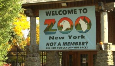New York Times article spurs national support for Watertown zoo