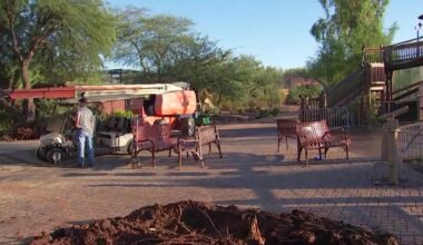 Phoenix Zoo reopens following storm damage clean-up