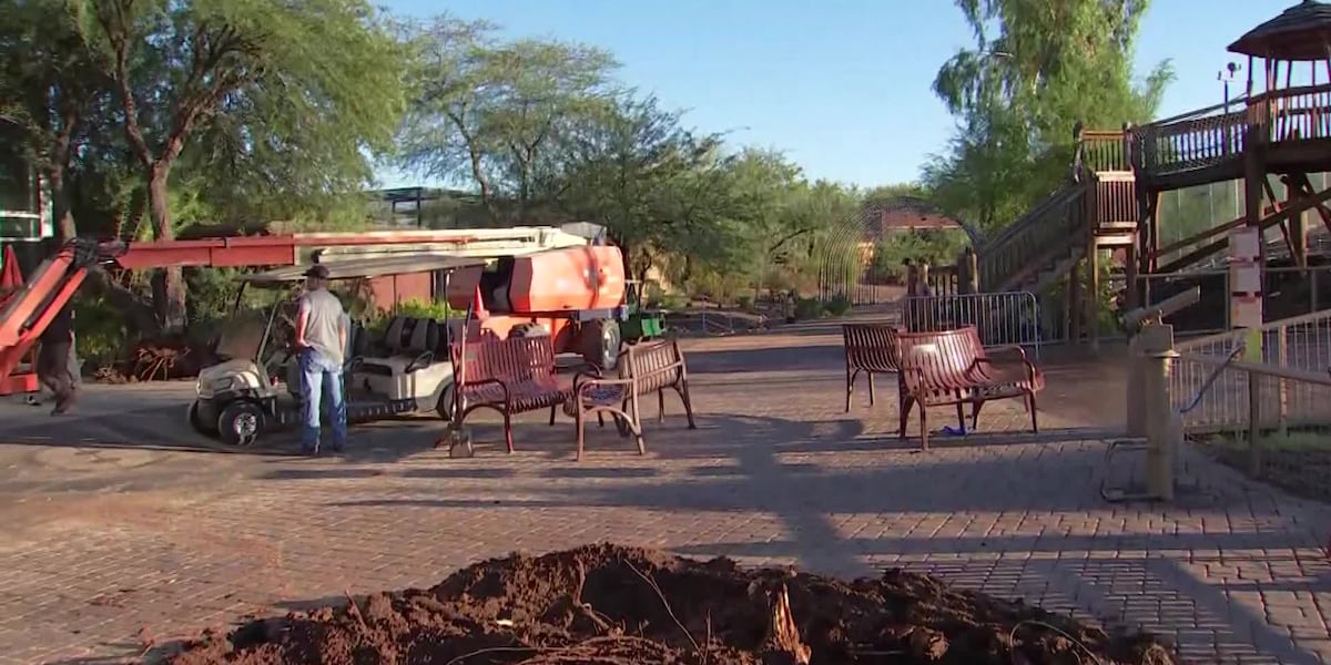 Phoenix Zoo reopens following storm damage clean-up