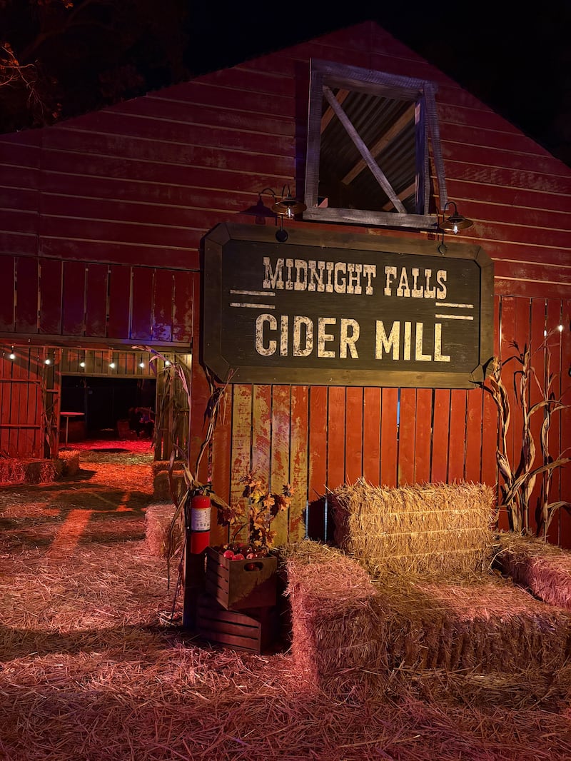 DESCRIBE THE IMAGE FOR ACCESSIBILITY, EXAMPLE: Photo of a chef putting red sauce onto an omelette.