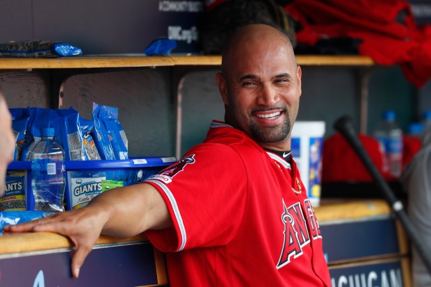 Former Angels slugger Albert Pujols has interviewed for their managerial opening. (AP Photo/Paul Sancya)