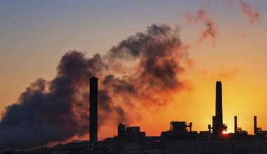 Coal in a fight against the free market