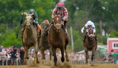 New jockey Ortiz gets his first read on Journalism