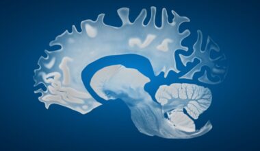 Male Brains Shrink Faster Than Female Brains, Study Finds : ScienceAlert