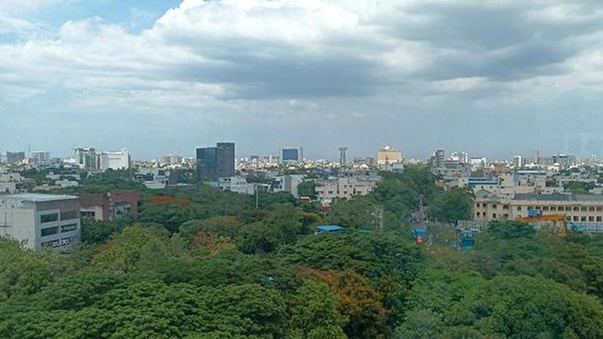 Google Preferred Source